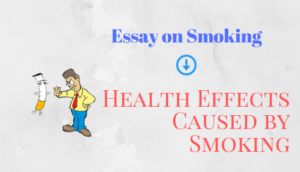 essay on risks of smoking