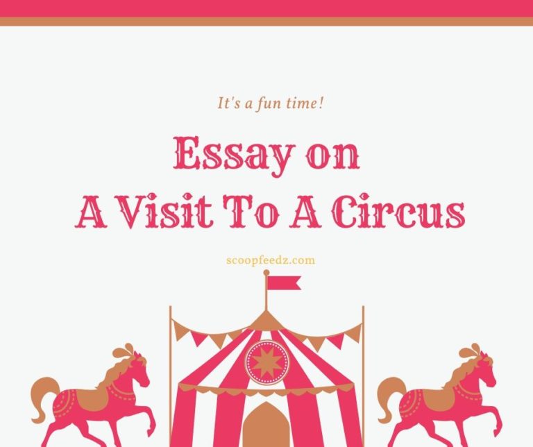 essay about circus