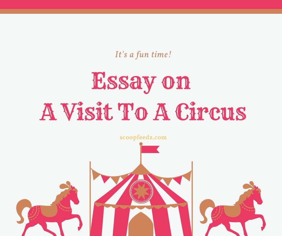 write a short essay on a visit to a circus
