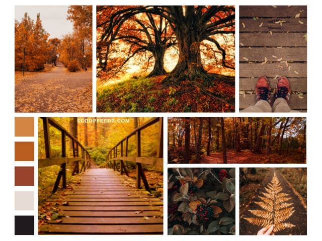 Essay on Autumn Season in English