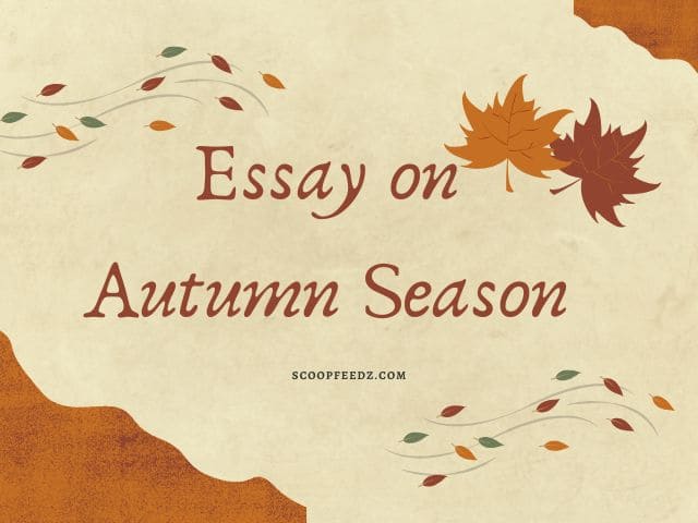 essay on autumn season for class 3