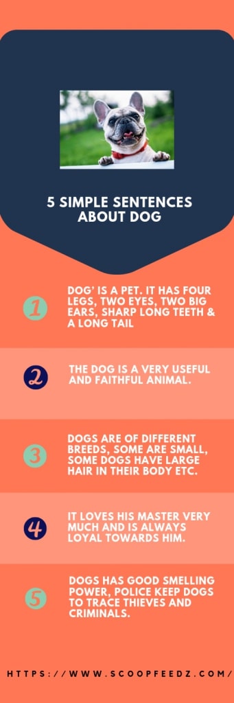 Engaging 5+ Essay on Dog for Class 1, 2, 3 to 9 & 10 Lines